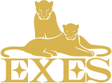 +Okinawa Spa Resort EXES 沖縄スパリゾート エグゼス