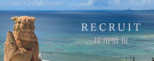 採用情報