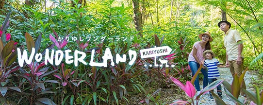 かりゆしワンダーランド