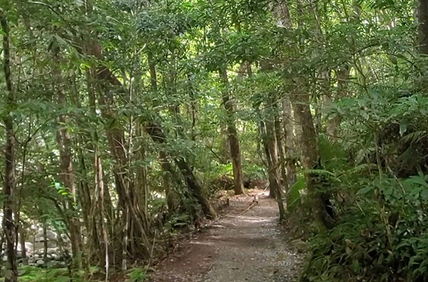 Hiji Waterfall