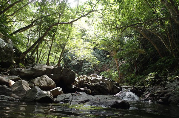 Yanbaru River Trekking