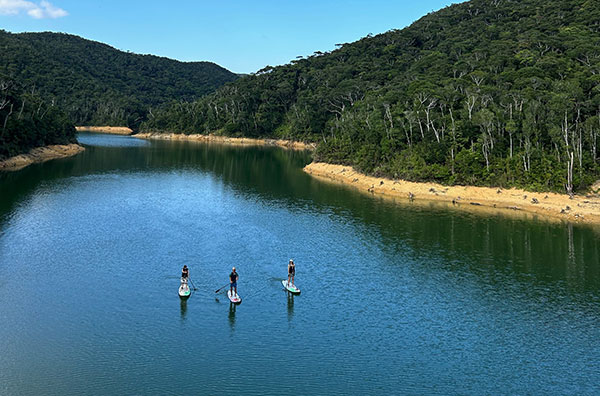 Jungle SUP Cruising