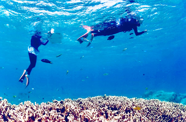Kayak Snorkeling