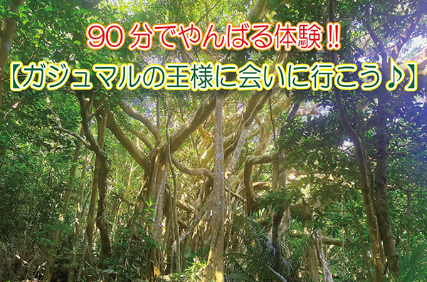 Let's go see the King of Banyan Tree! Trekking